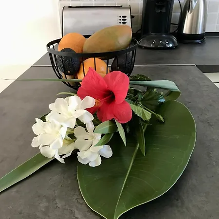 Apartmán Dona Lola Sea *